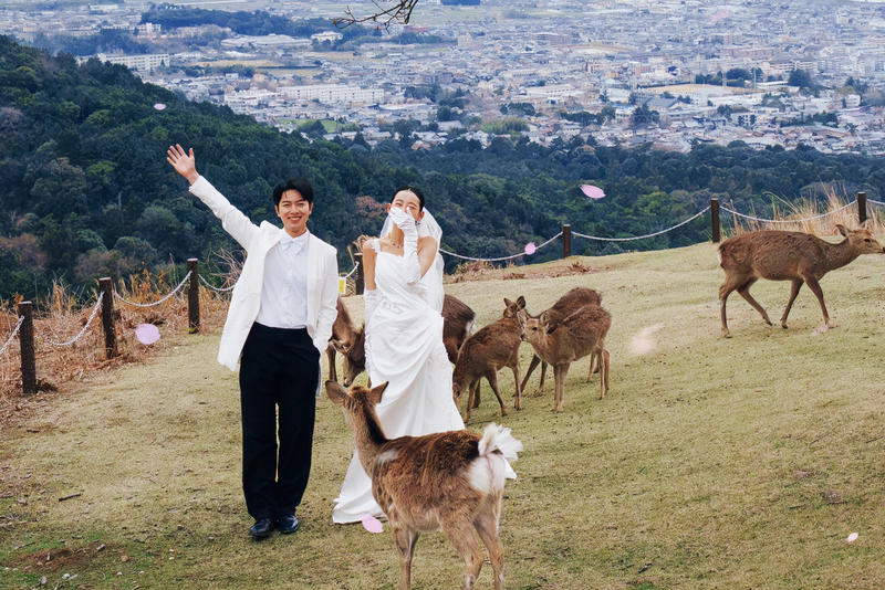 奈良小鹿 日本婚纱照 日本旅拍 尼鹿摄影旧站作品