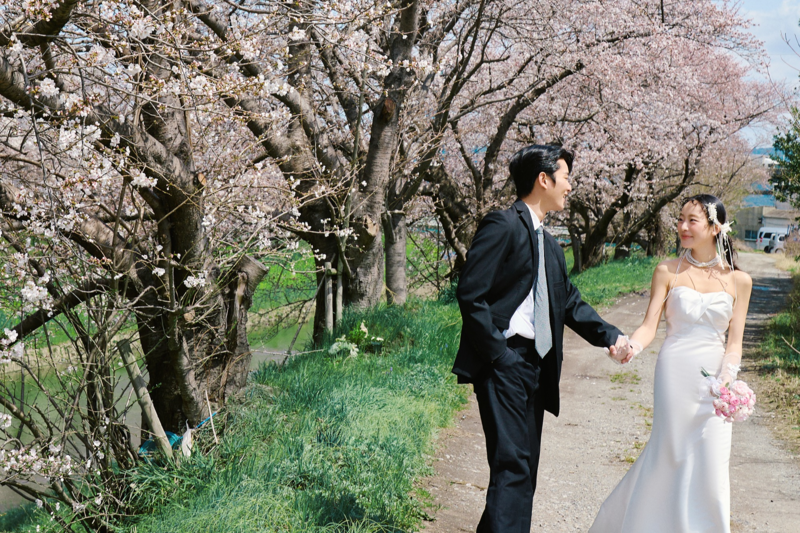 奈良列车樱花婚纱 日本婚纱照 日本旅拍 尼鹿摄影旧站作品