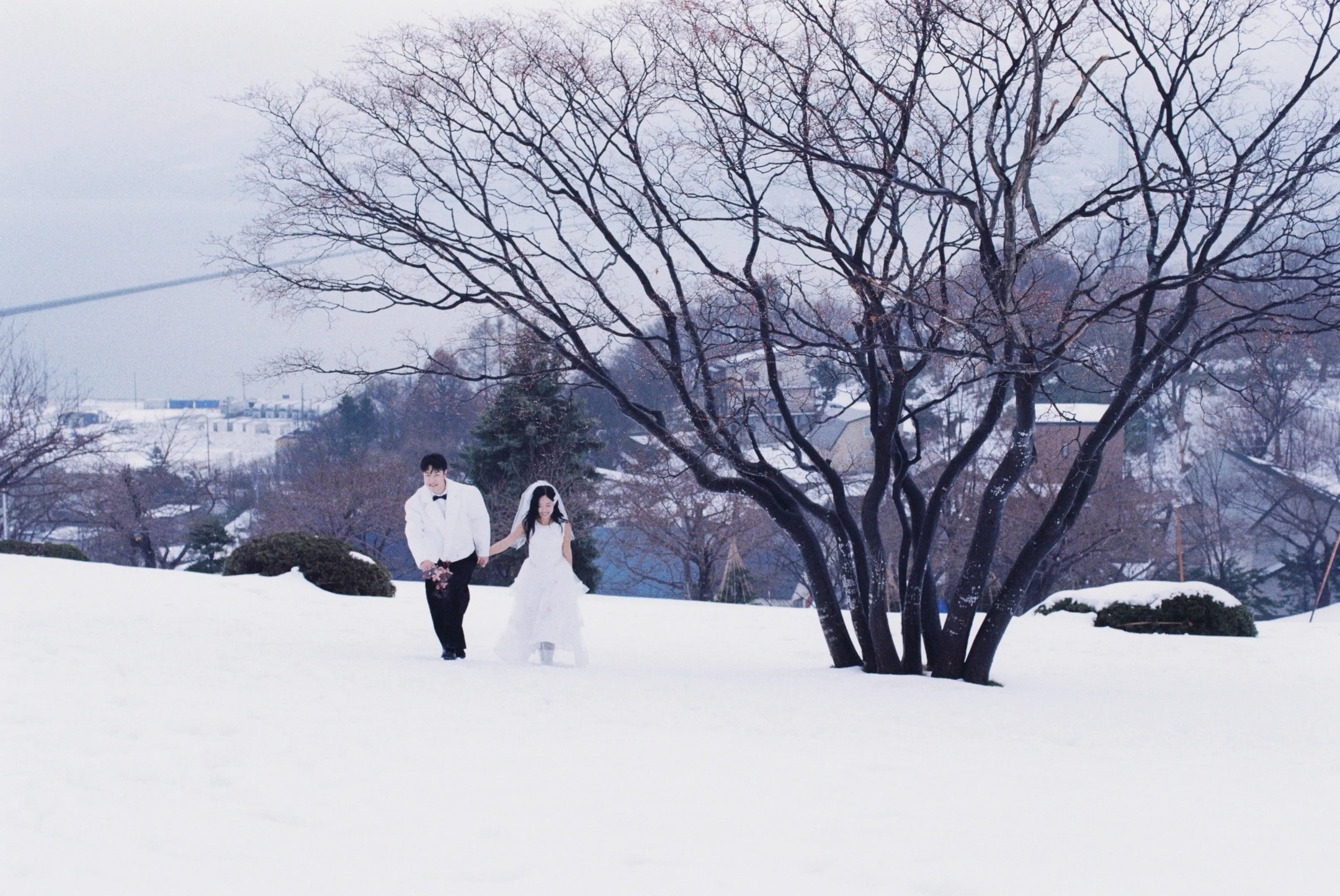 北海道雪景中牵手走过树下的婚纱照